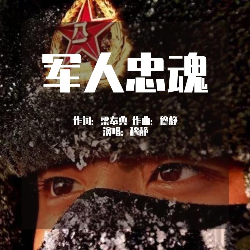 军人忠魂封面