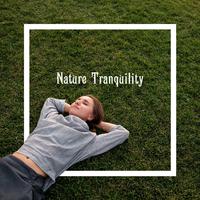 Nature Tranquility – Calming Nature Music for Relaxation, Meditation or Yoga