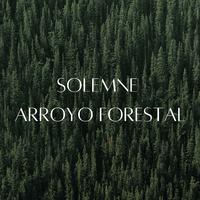 Solemne Arroyo Forestal