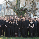 Ricercar Consort