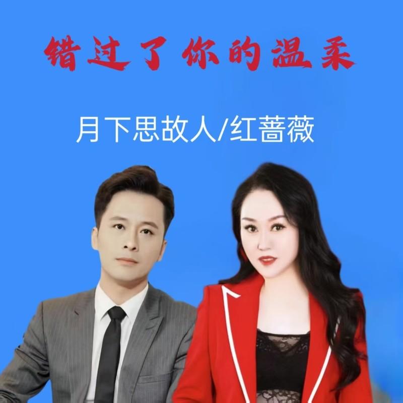 错过了你的温柔 (DJ何鹏版)封面