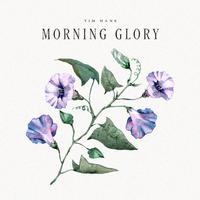 Morning Glory