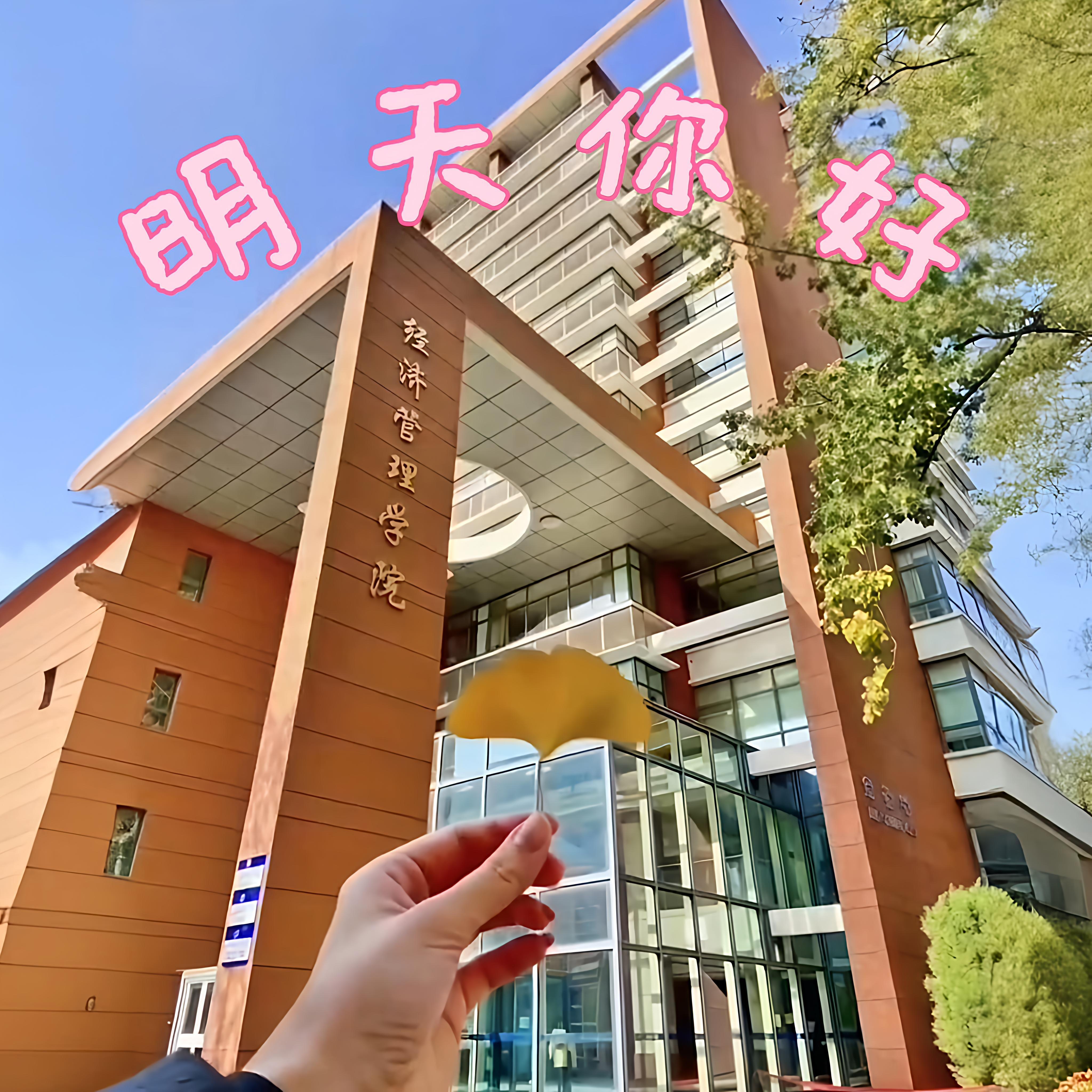明天你好 伴奏封面