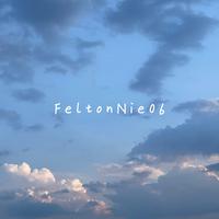 FeltonNie06