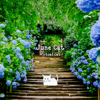 June Cat