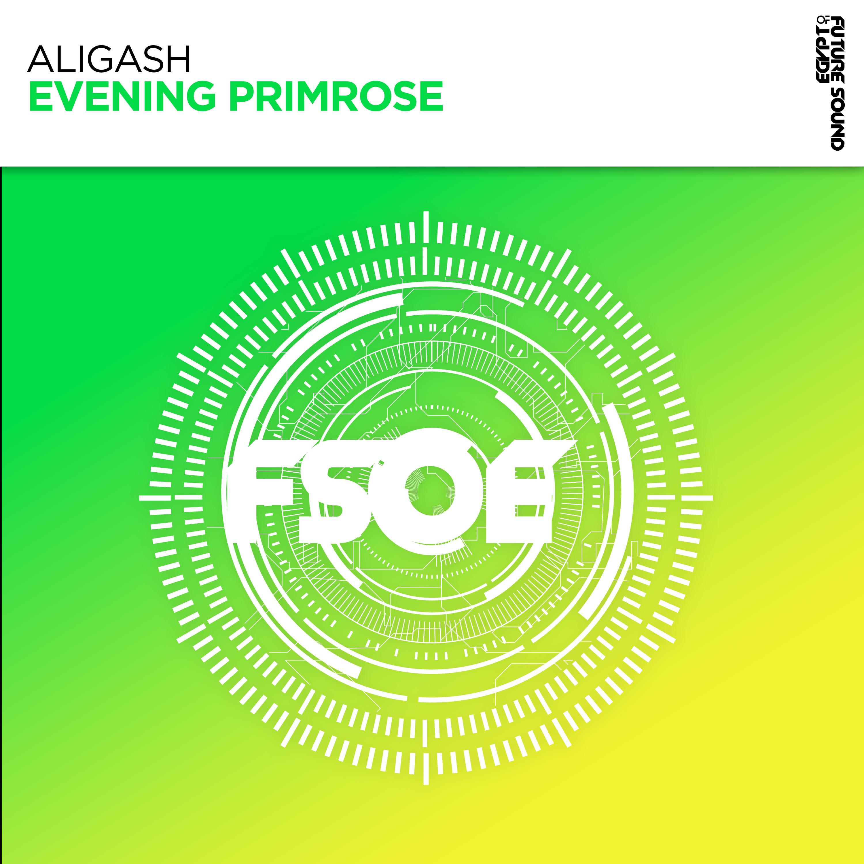 Evening Primrose_ALIGASH_Evening Primrose | 在线播放_Evening Primrose歌词_Evening Primrose下载 | 网易云音乐