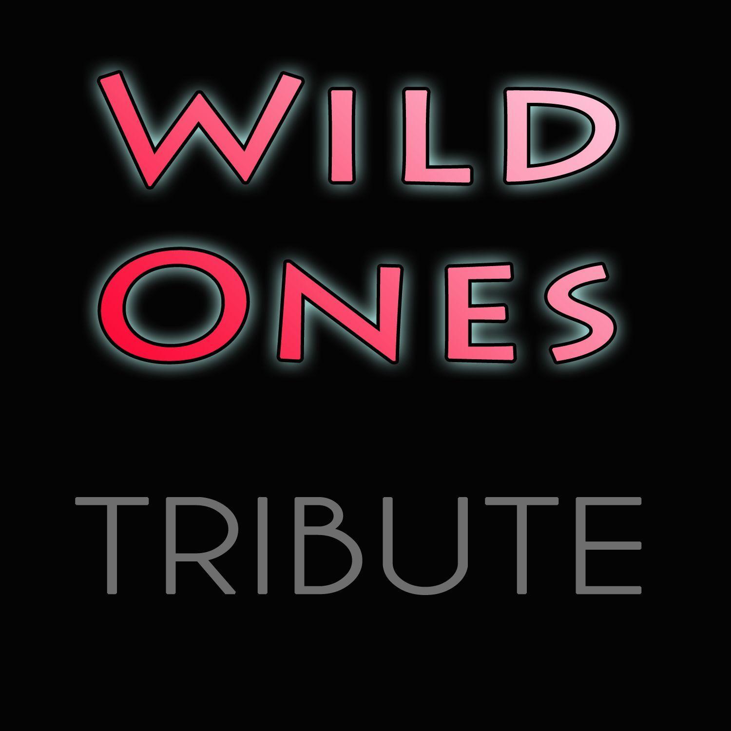 Wild Ones (feat. Sia)