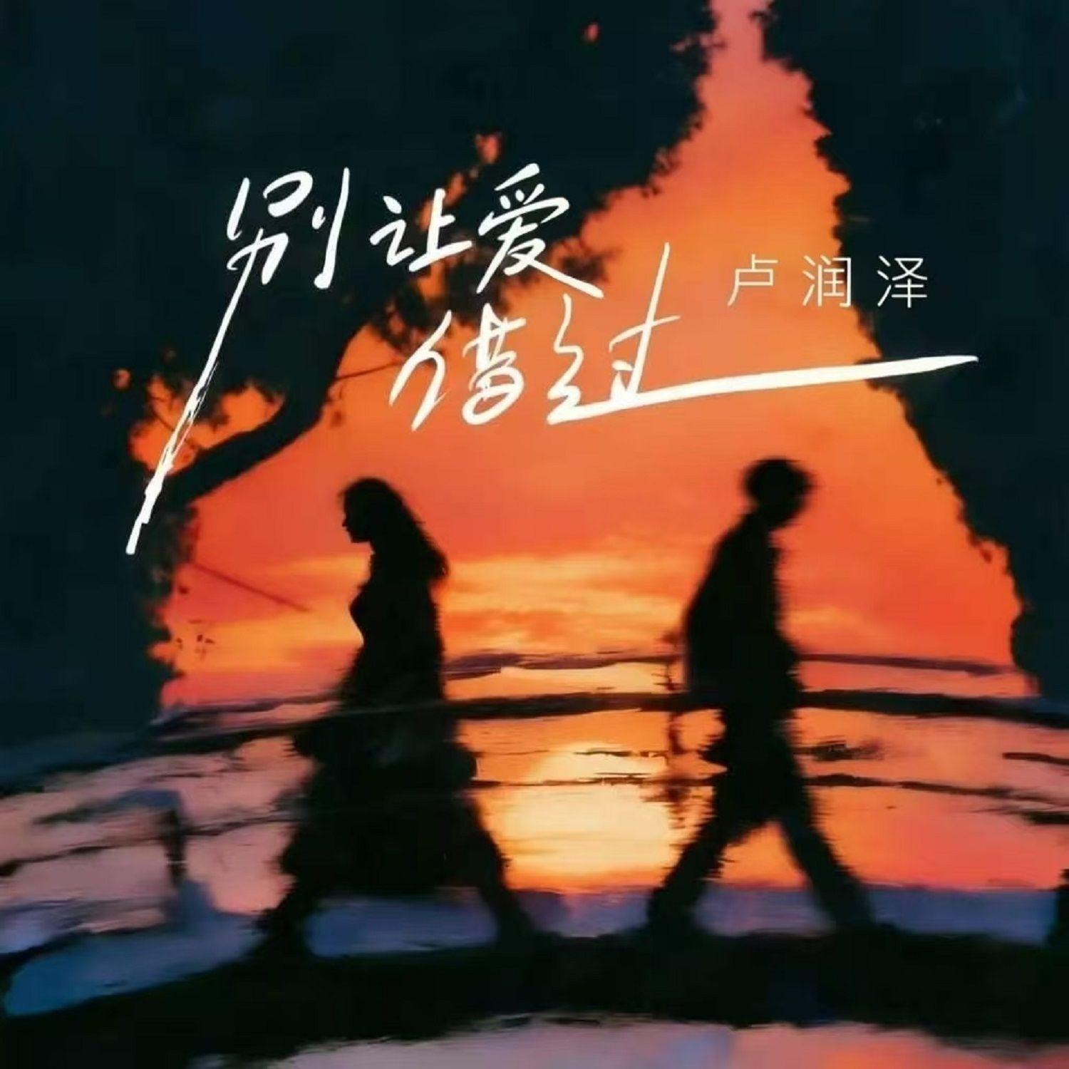 别让爱借过（卡点节奏版） - 卢润泽封面