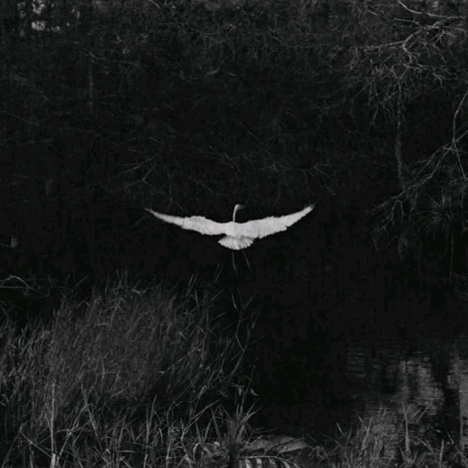 Danzig Oder der krieg