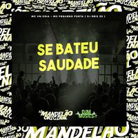 Se Bateu Saudade