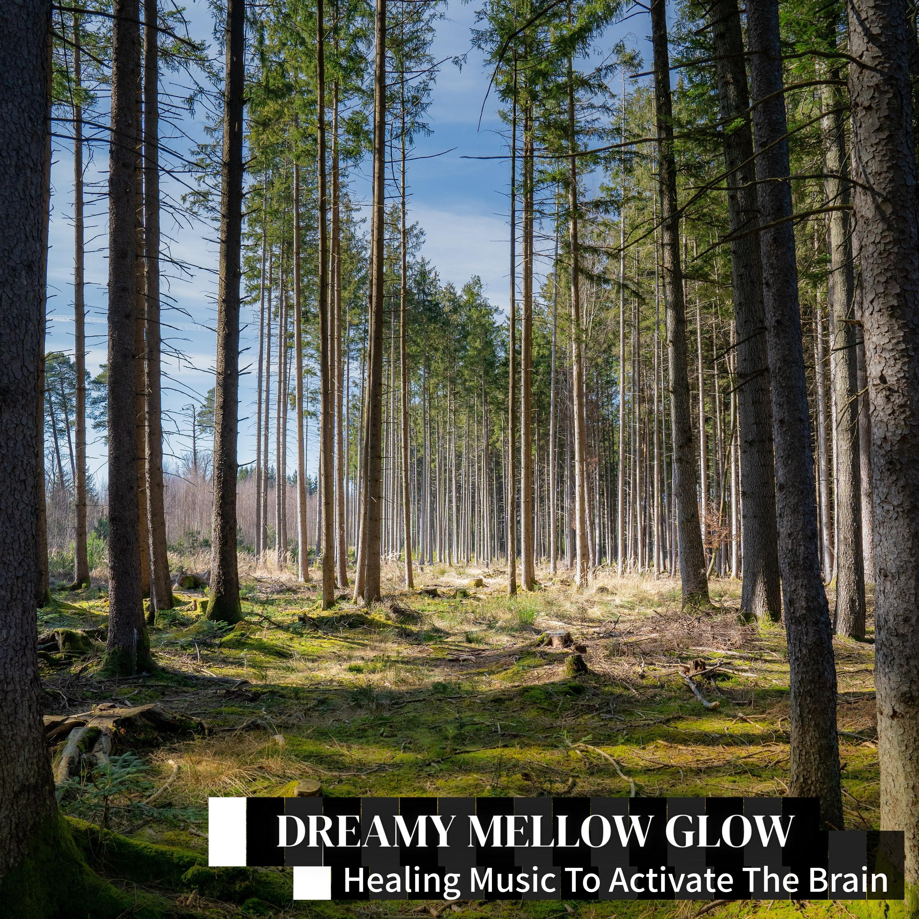 Night's Caress on Thoughts