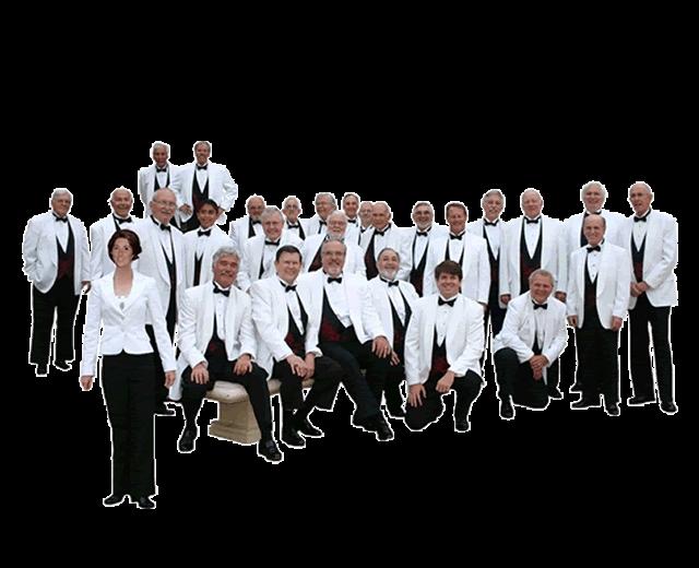 Sun Harbor's Chorus