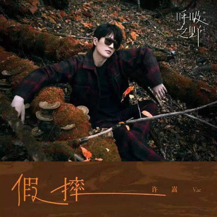 假摔封面