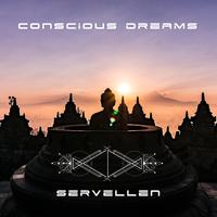 Conscious Dreams