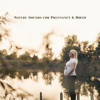 Nature Sounds for Pregnancy & Birth - Relaxation of Pregnant, Nature Sounds for Pregnant Woman, Soothing Melodies, Songs for Newborn