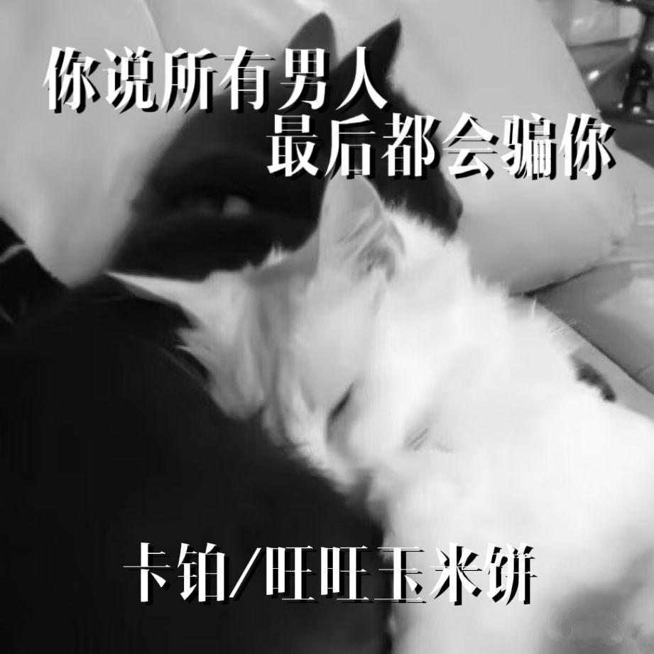 你说所有男人最后都会骗你封面