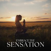 Embrace the Sensation