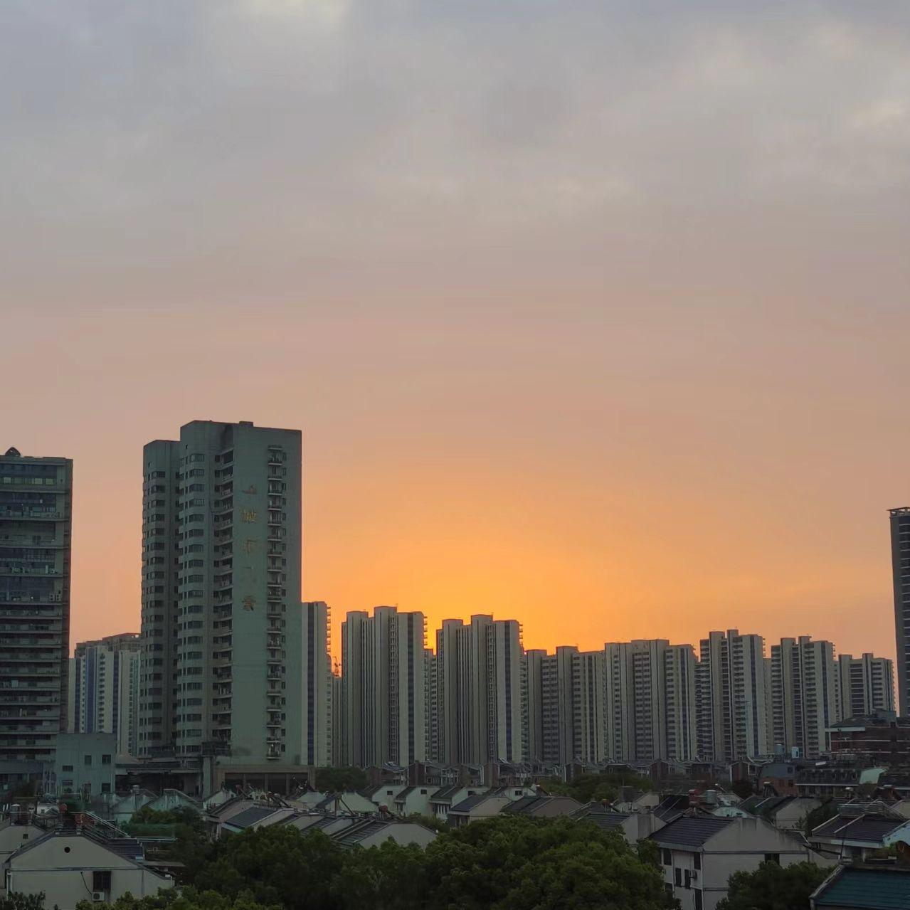 莺尾飞扬封面