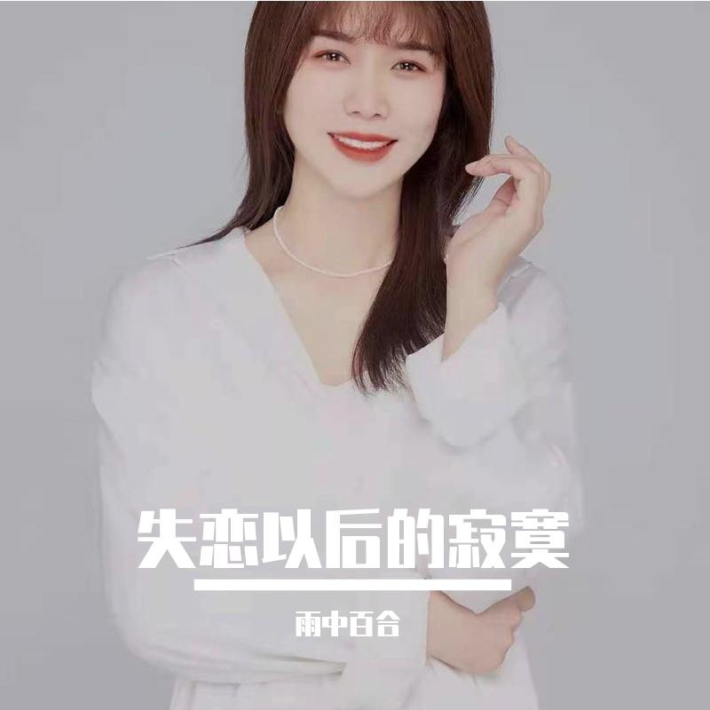 失恋以后的寂寞封面