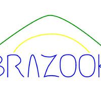 Brazook