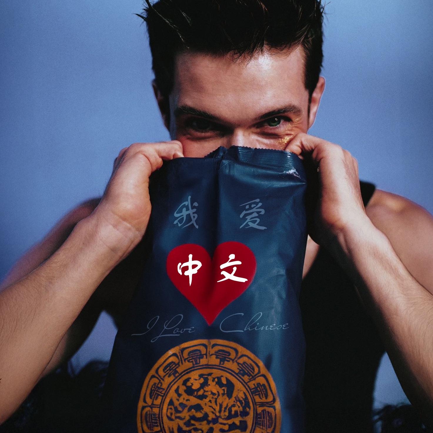 我爱中文封面