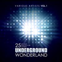 Underground Wonderland (25 Groovy Dancefloor Shakers), Vol. 1