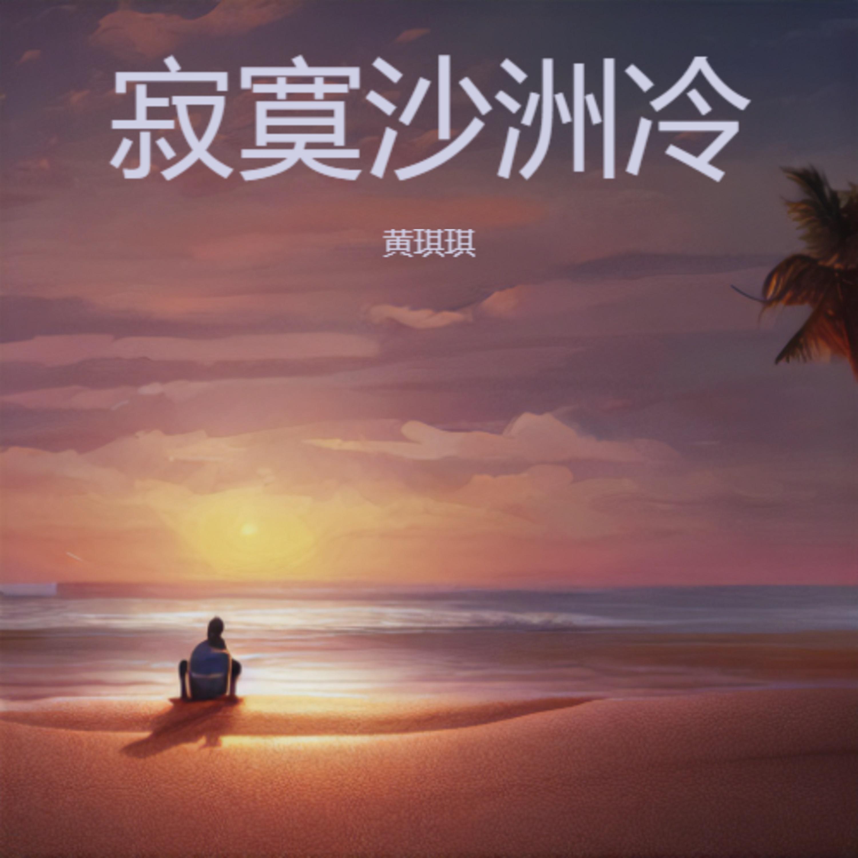 寂寞沙洲冷 (伤感版)封面