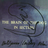 The Brain of the Dog in Section