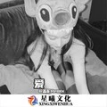 面朝大海，春暖花开 (DJ版)封面