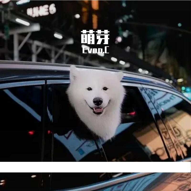 叫我威杰封面