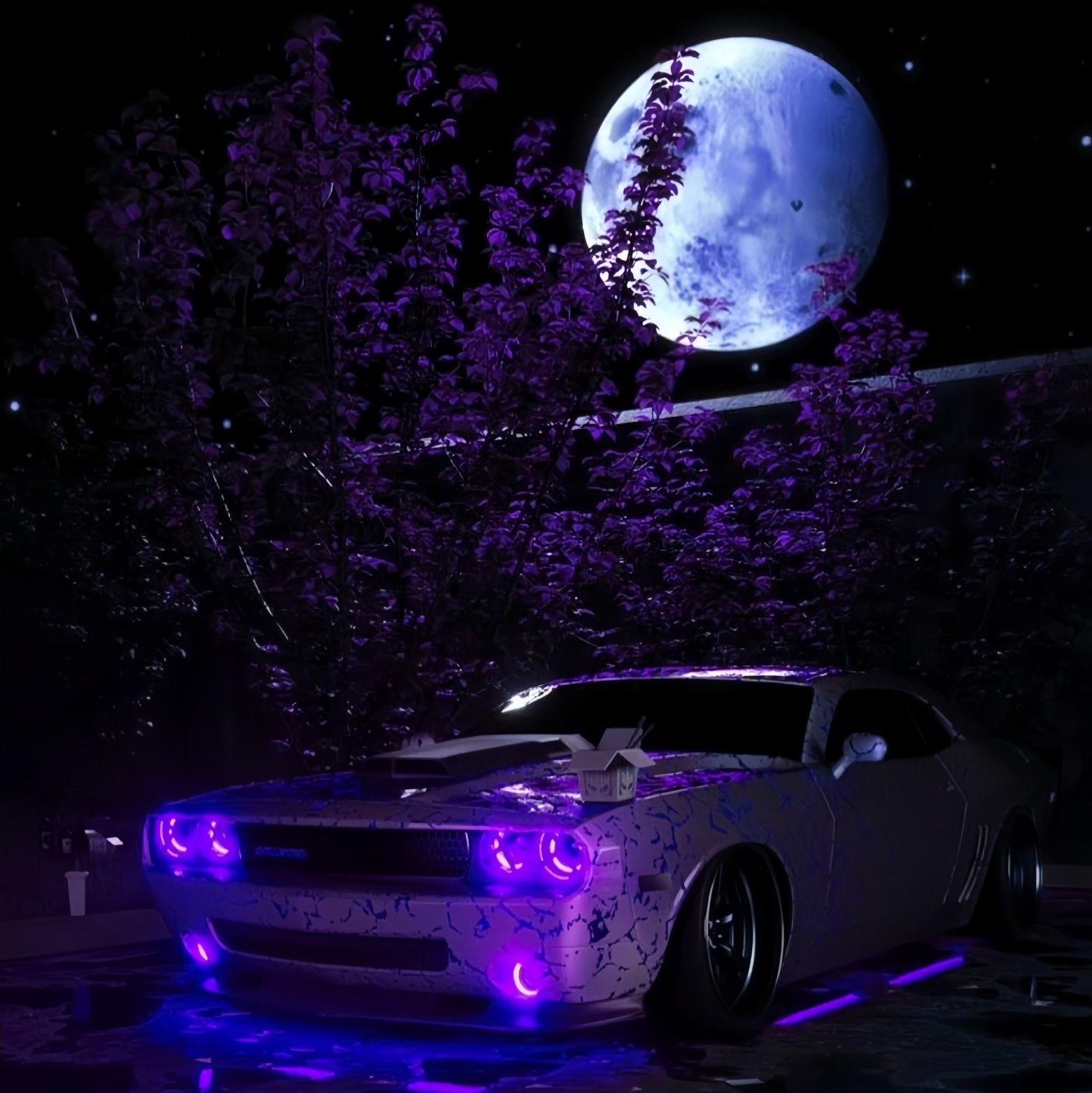 「PHONK/FUNK」高端局专用