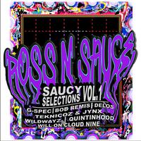 Saucy Selections Vol. 1