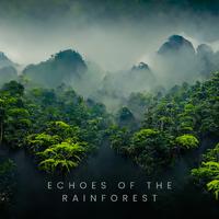 Echoes of the Rainforest