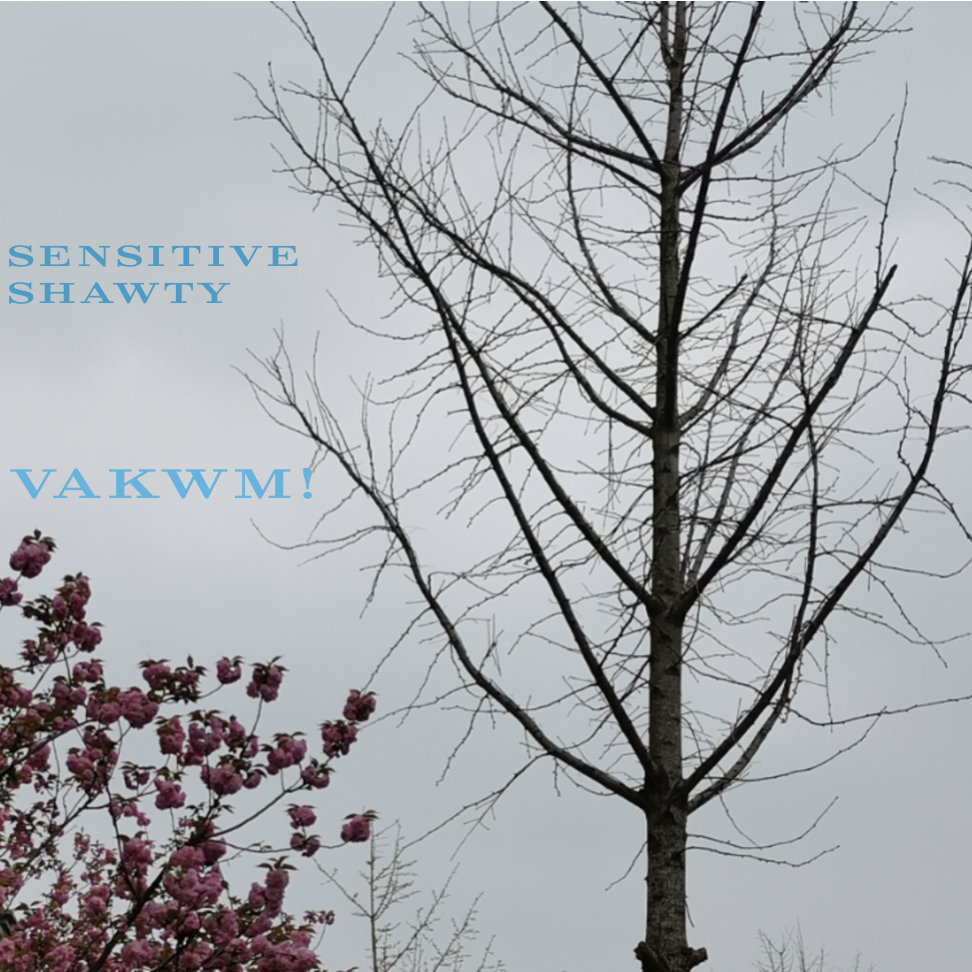 SENSITIVE SHAWTY(prod.dk）封面