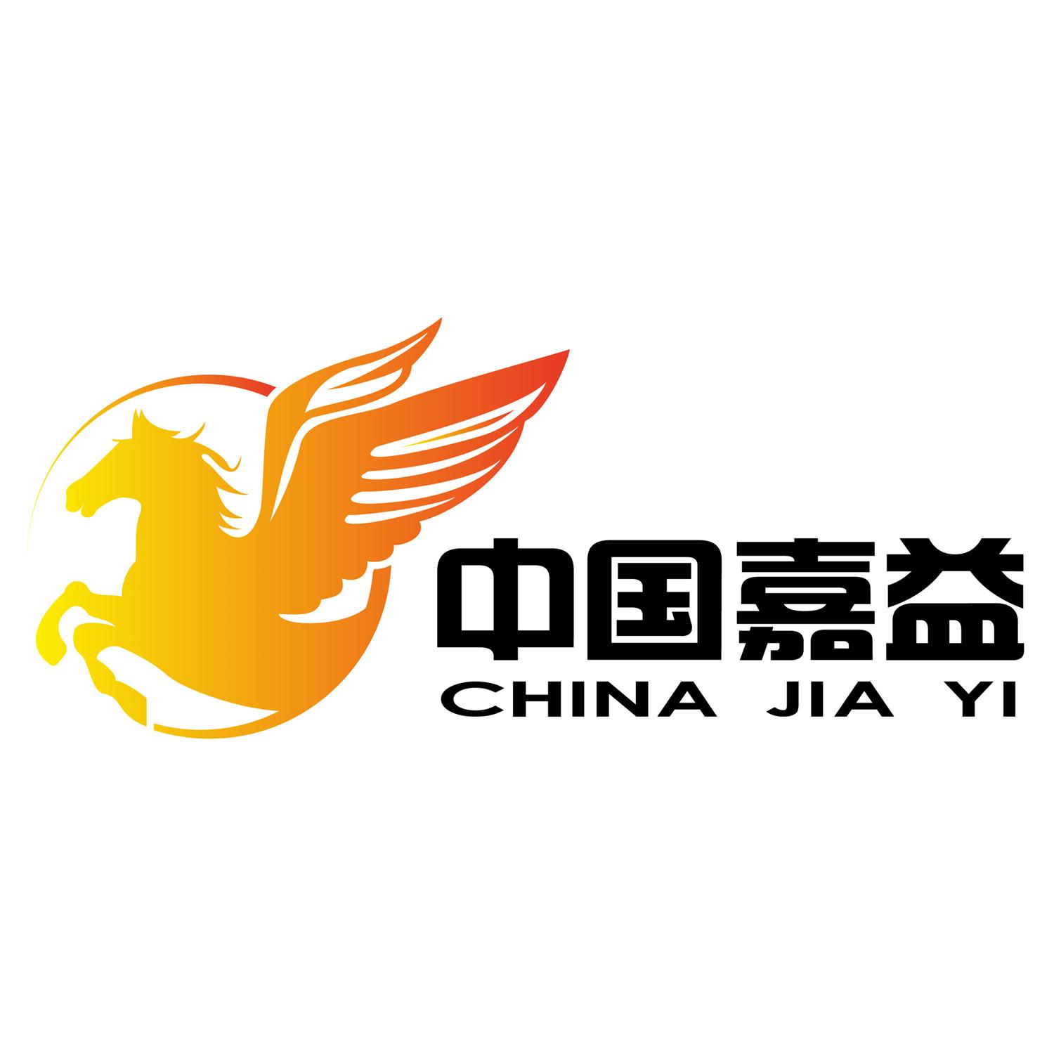 战火 - 中国嘉益主持团队封面