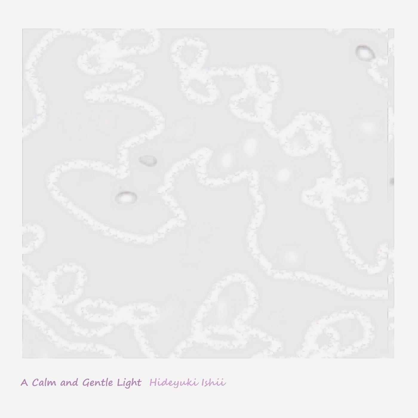 A Calm and Gentle Light