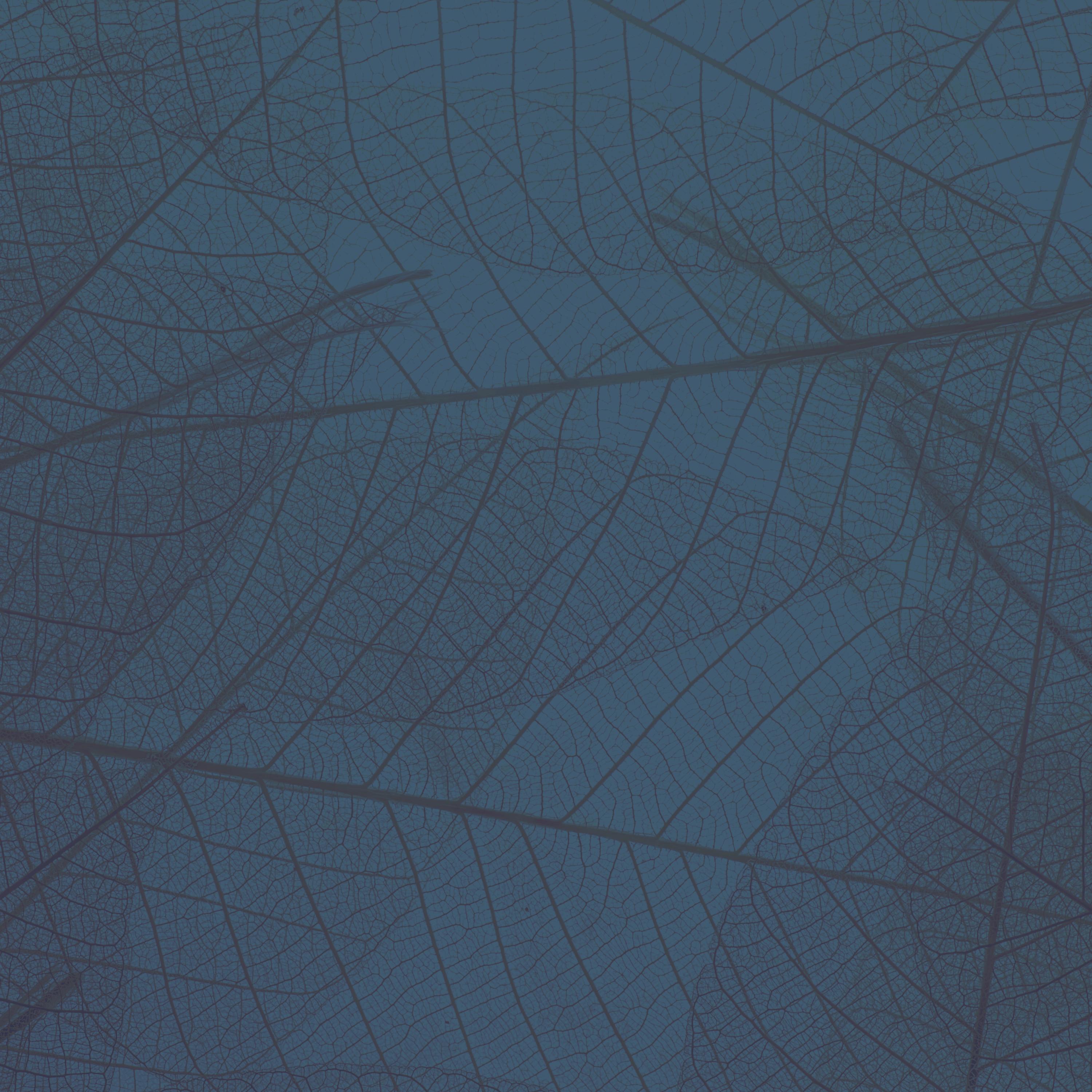 Under Et Træ (Følgesvend Rework)