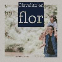 Clavelito En Flor