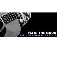 I'm in the Mood Slide Guitar Blues, Vol. 5