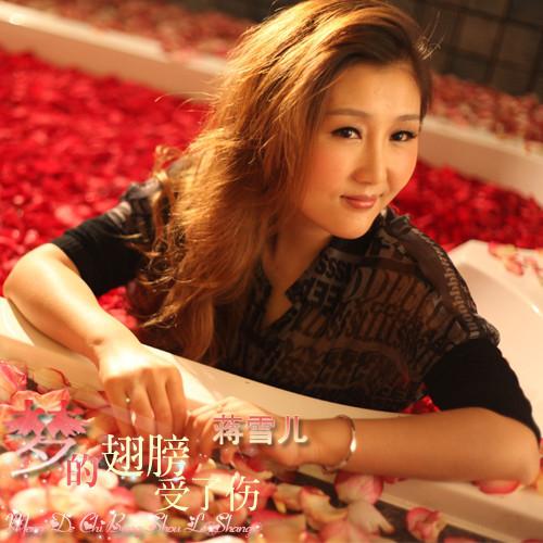 梦的翅膀受了伤 蒋雪儿 单曲 网易云音乐