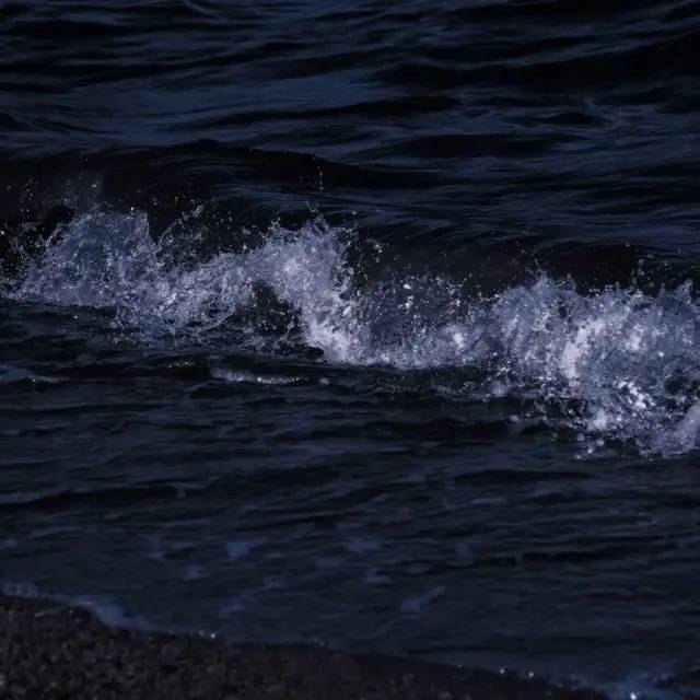 再见西西娅（翻自 清秋秋）