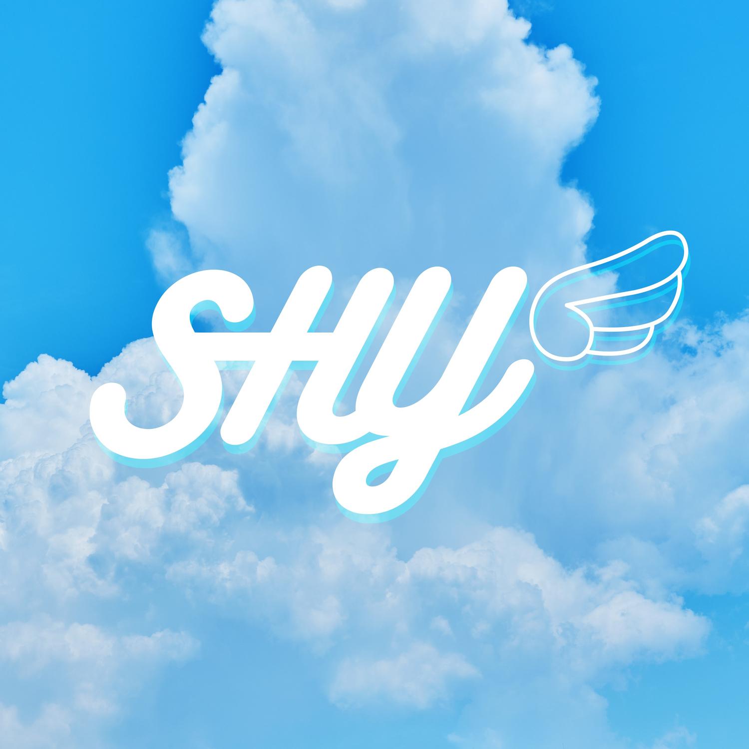 ごめんなSHY