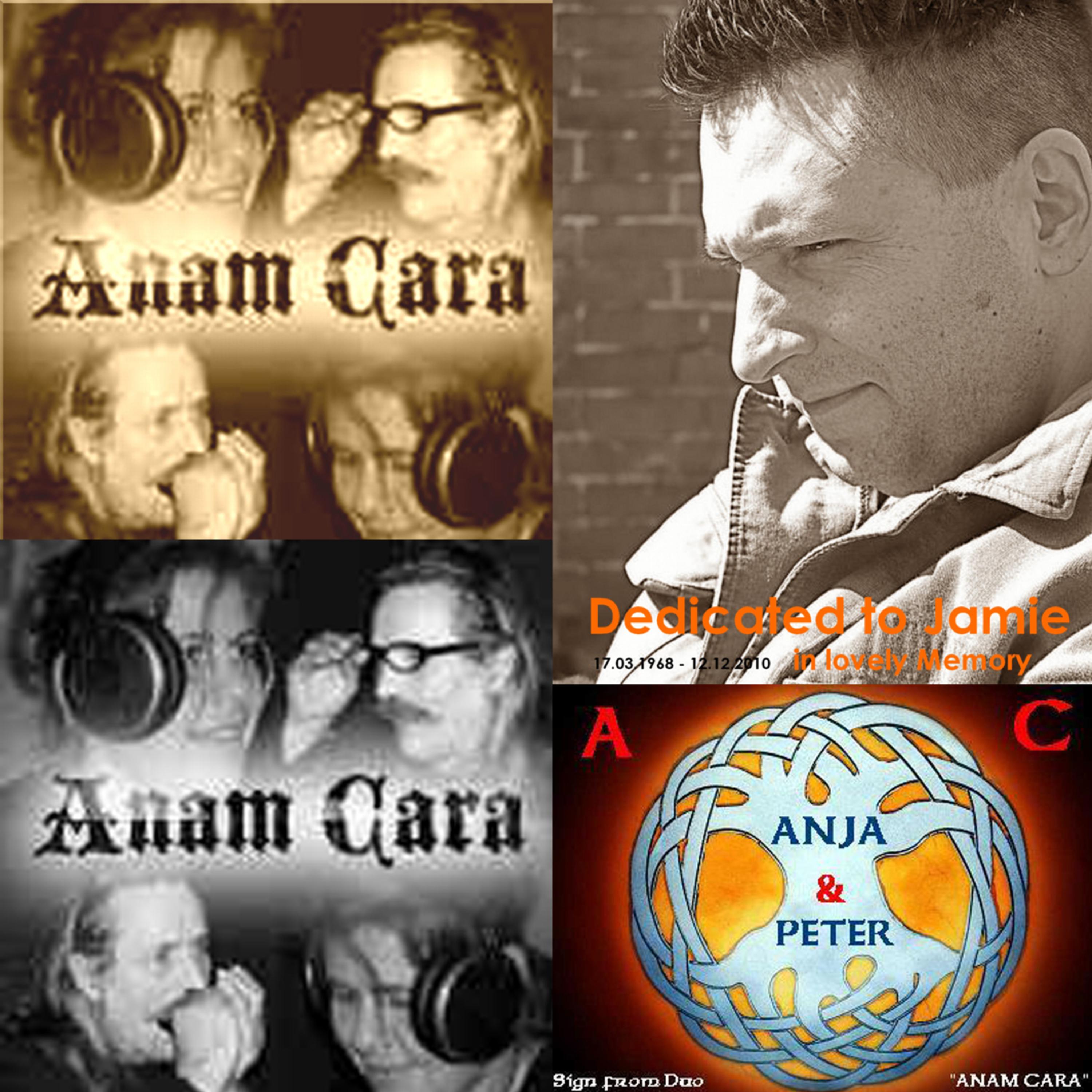 The Star Of The County Down