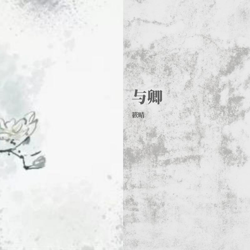 与卿封面
