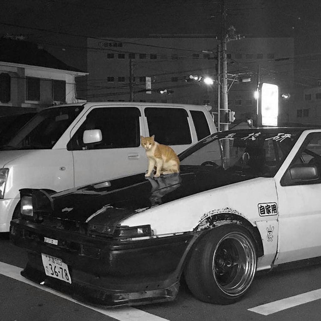 phonk | funk☻︎| 『漂移|压迫感|节奏控』