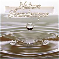 Nature Soundscapes - Sleep Music to Help You Fall Asleep Easily, Natural Music for Healing Through Sound and Touch, Sentimental Journey with Sounds of Nature, Massage, Reiki, Luxury Spa