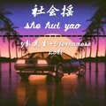 社会摇第五季 (DJ版)封面