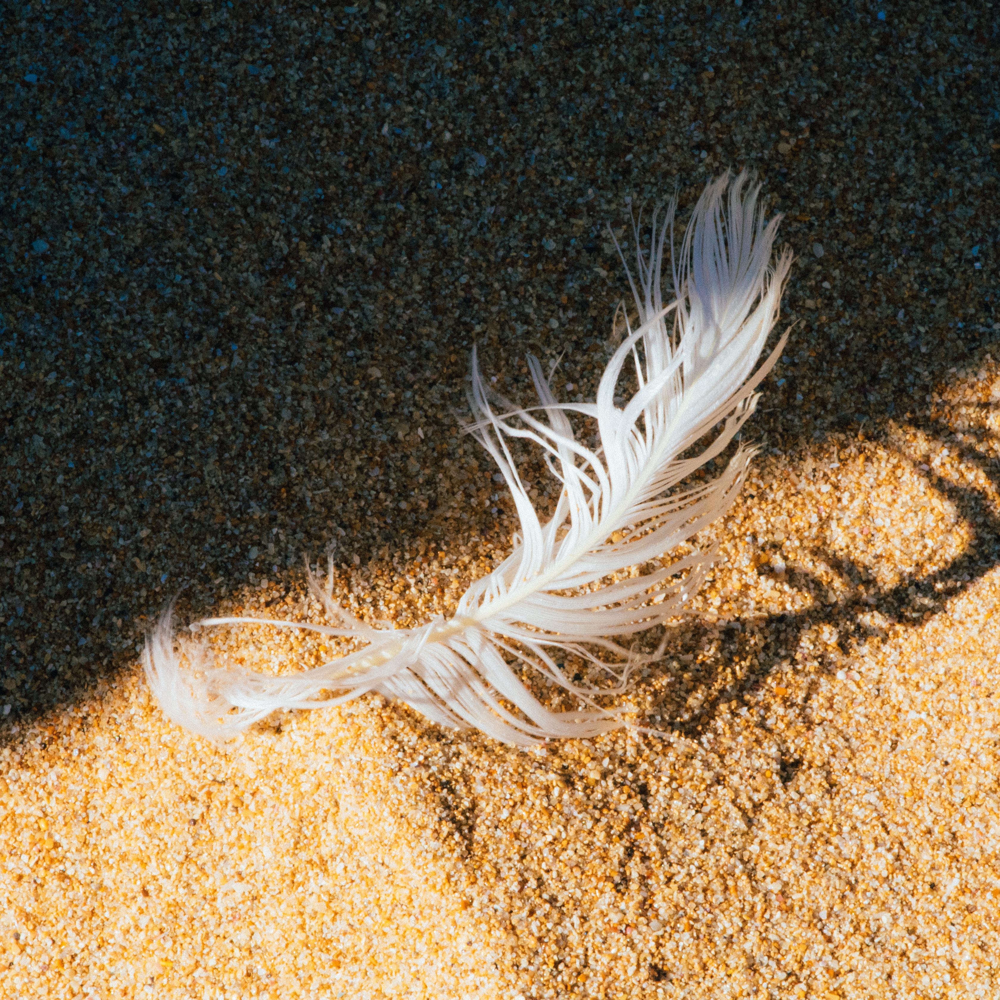 Bts-Lie（小能君 remix）