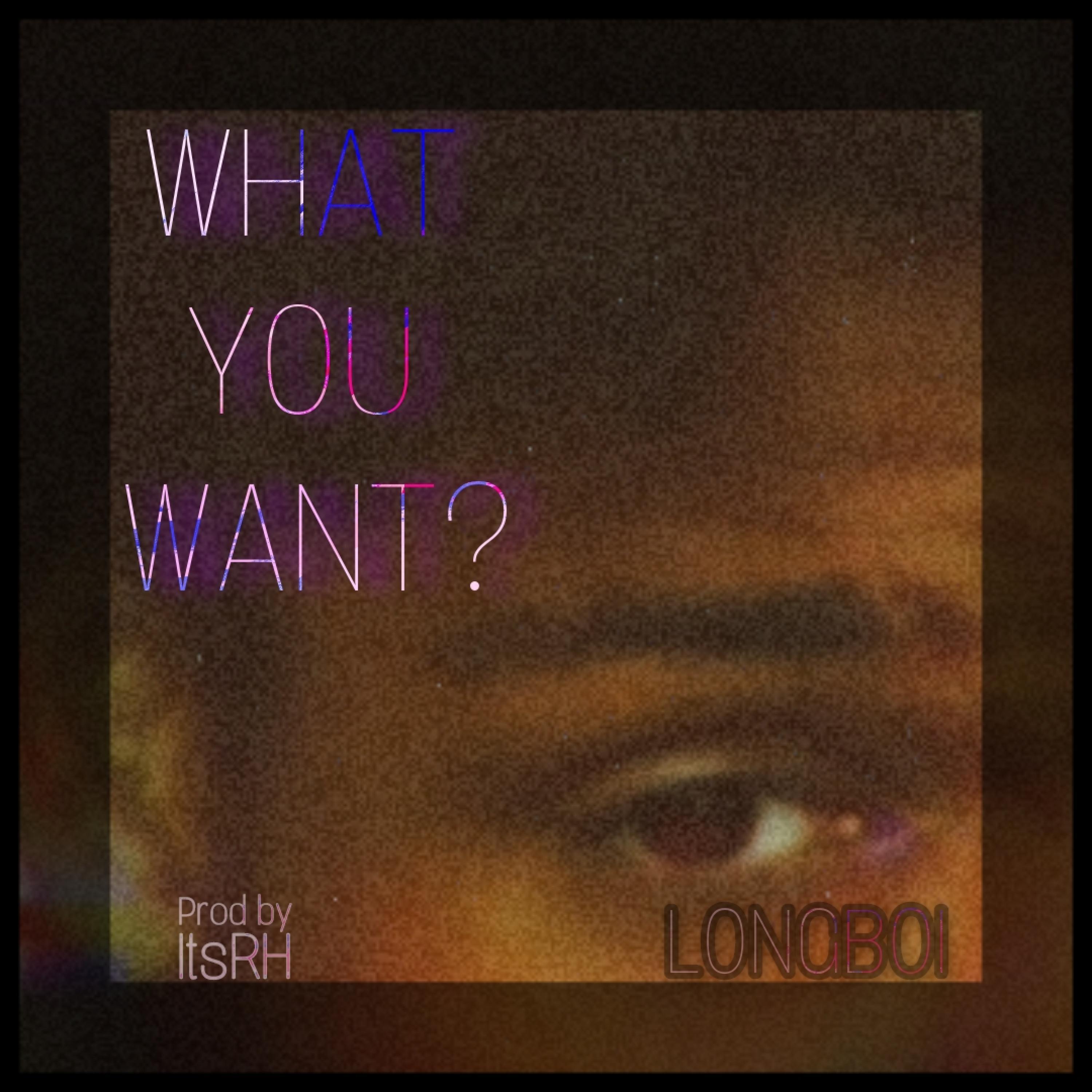 WHAT YOU WANT?¹² (feat. ItsRH)