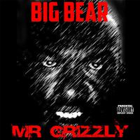 Mr. Grizzly